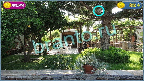 Где кот? ответы уровень 8