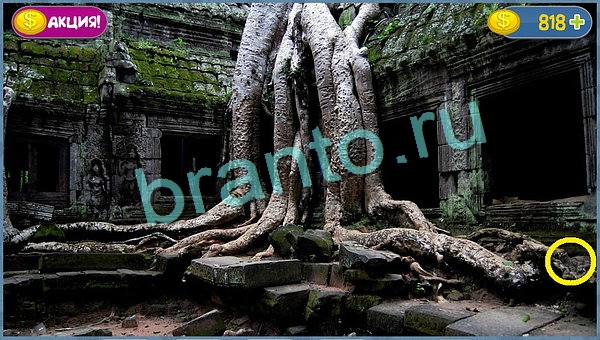 Где кот? помощь уровень 10