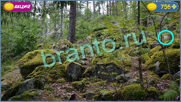 Где кот ответы в картинках уровень 16