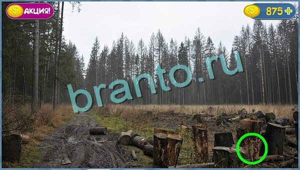 Где кот игра ответы