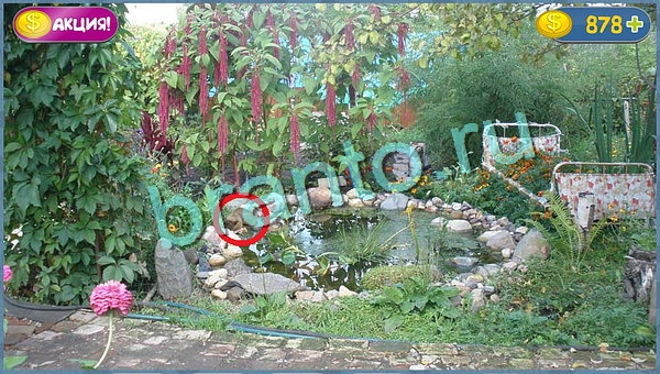 игра в одноклассниках Где кот ответы