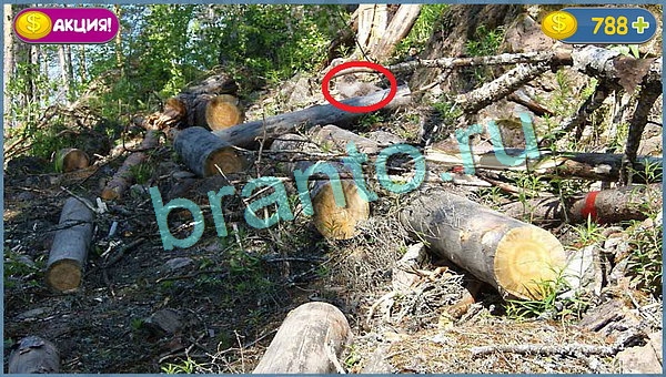 Подсказки на игру Где кот уровень 682