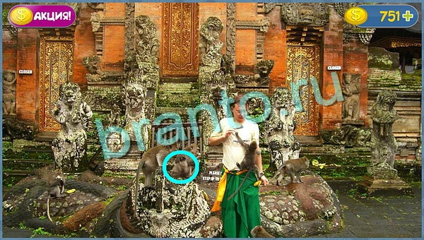 Где кот ответы в картинках уровень 696