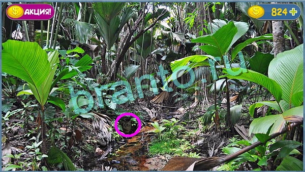 ответы Где кот