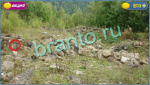 ответы для игры Где кот