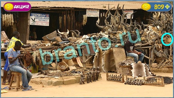 игра в одноклассниках Где кот ответы