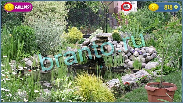 Подсказки на игру Где кот уровень 722