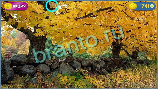 ответы Где кот