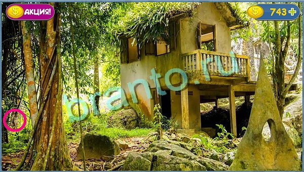 ответы Где кот? в одноклассниках