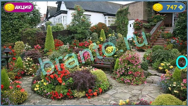 решения для игры Где кот