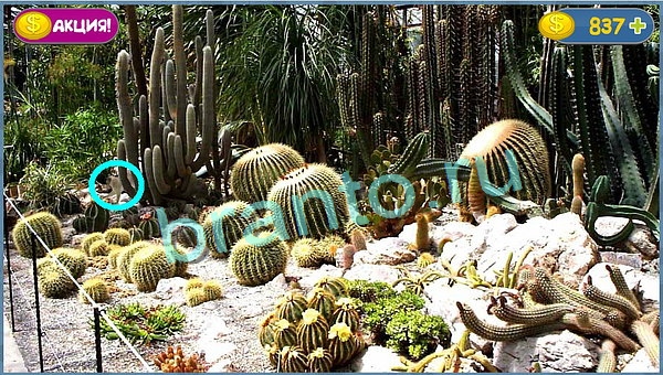 Где кот? ответы уровень 768