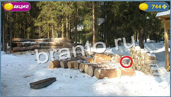 ответы Где кот? в одноклассниках