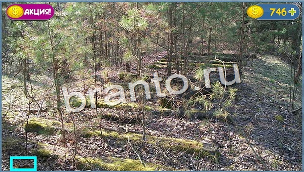 ответы для игры Где кот