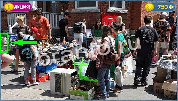 Где кот игра ответы