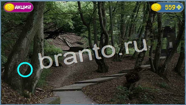 Где кот игра ответы в одноклассниках уровень 847