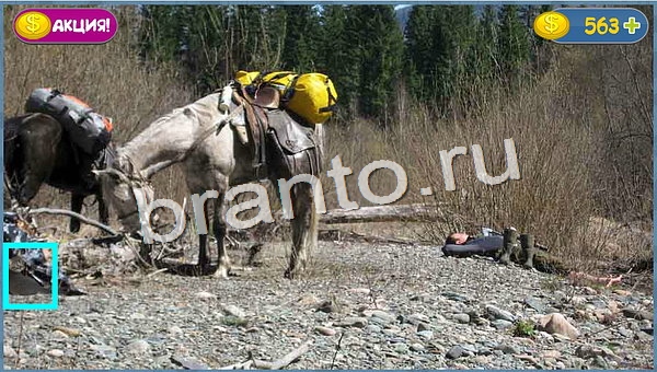 Где кот? подсказки уровень 849