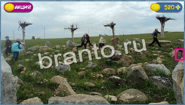 ответы для игры Где кот