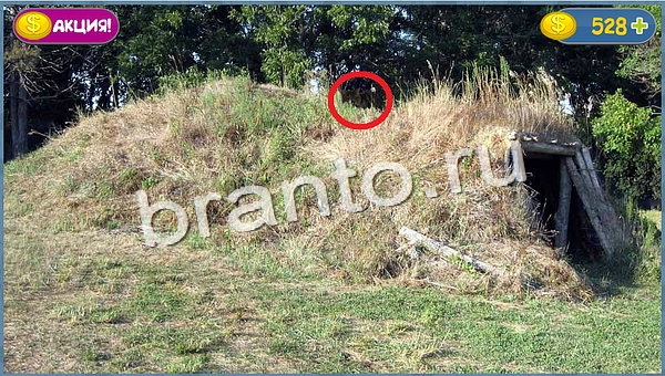 Где кот помощь в картинках