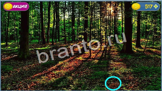 Где кот игра подсказки уровень 934