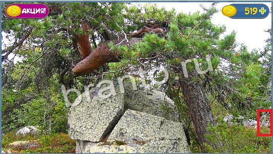 Где кот игра помощь уровень 935