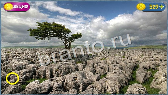 Игра Где кот прохождение уровень 940