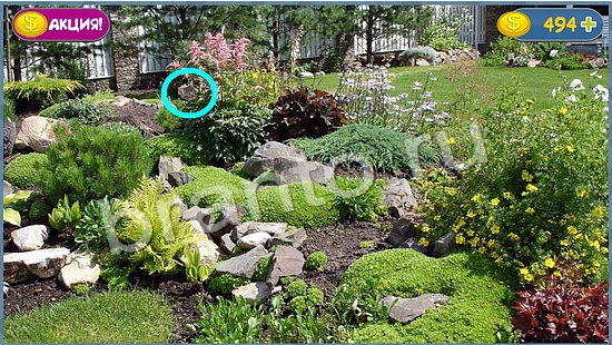 Где кот прохождение игры