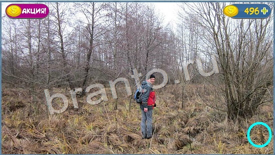 ответы на игру Где кот в одноклассниках