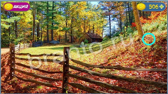 решения для игры Где кот