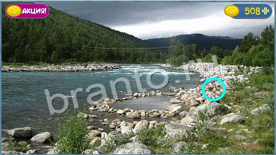 Где кот игра ответы