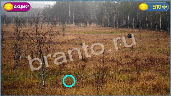 игра в одноклассниках Где кот ответы