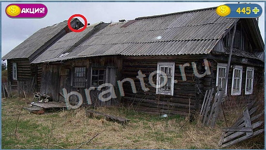 Где кот? решения уровень 972