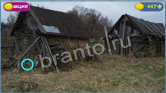 Где кот игра ответы уровень 973