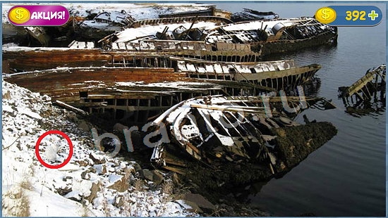 ответы Где кот