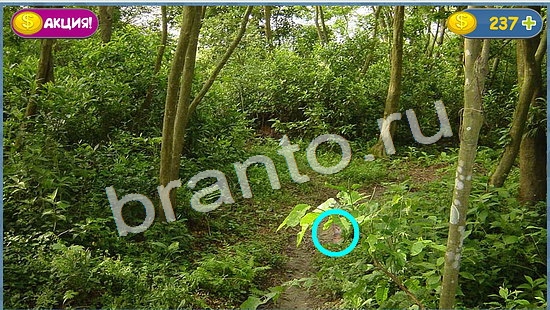 ответы на игру Где кот уровень 1041