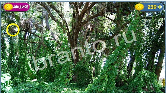 Подсказки на игру Где кот уровень 1042