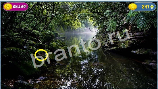 Решения на игру Где кот уровень 1043