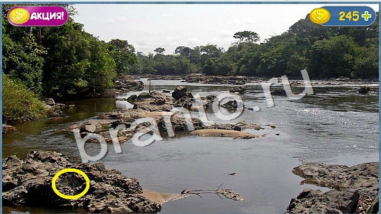 ответы к игре Где кот уровень 1045