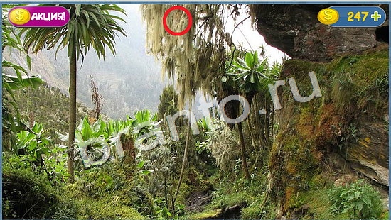 ответы на игру в одноклассниках Где кот уровень 1046