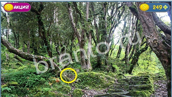 Где кот игра ответы в одноклассниках уровень 1047