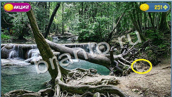 Где кот? ответы уровень 1048