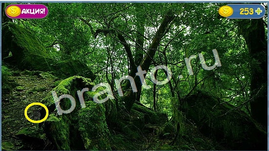 Где кот? подсказки уровень 1049