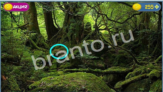 Где кот? помощь уровень 1050