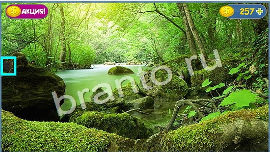 решебник на игру Где кот уровень 1051