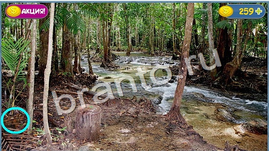 Где кот? решения уровень 1052