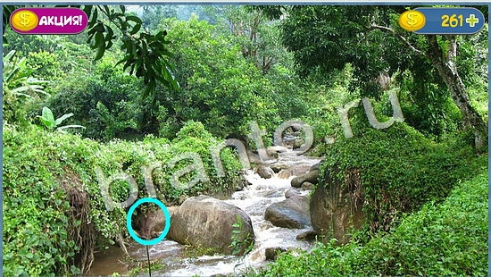 Где кот игра ответы уровень 1053