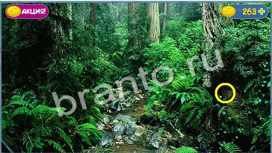 Где кот игра подсказки уровень 1054