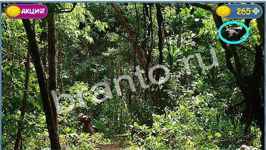 Где кот игра помощь уровень 1055