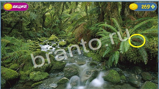 Игра Где кот ответы уровень 1057