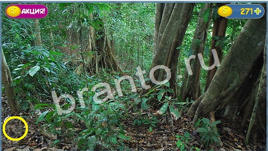 Игра Где кот подсказки уровень 1058