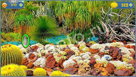 ответы Где кот? в одноклассниках